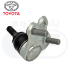 ⁦جوزة مقص رافور 2019-2024⁩ - الصورة ⁦3⁩