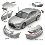 البودي والديكور